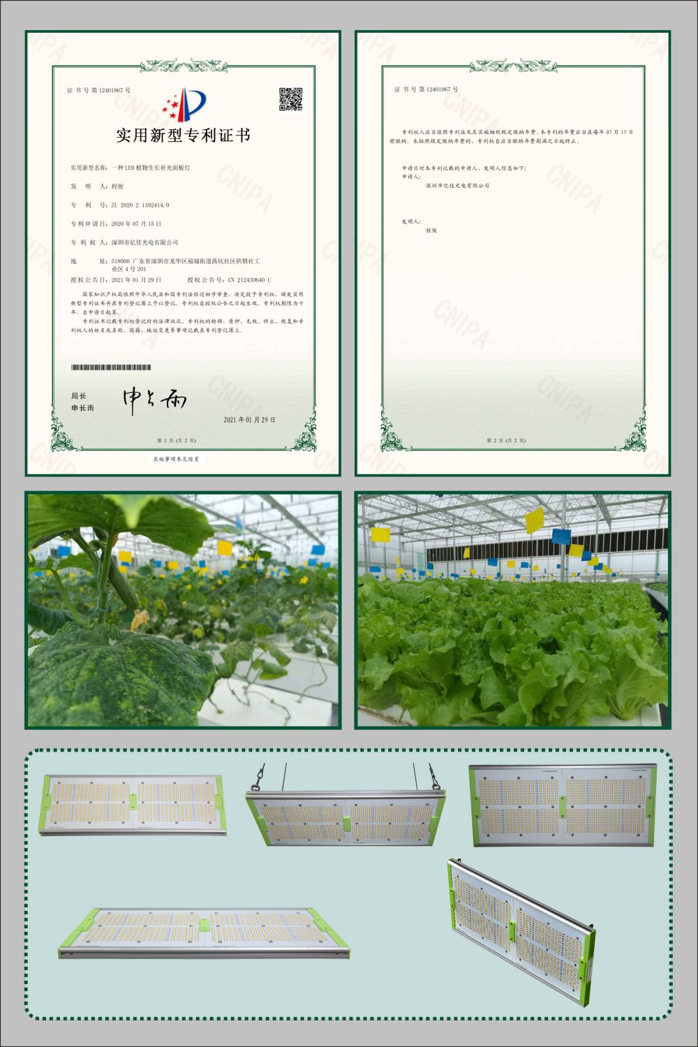 尊龙凯时植物生长面板灯适用新型专利